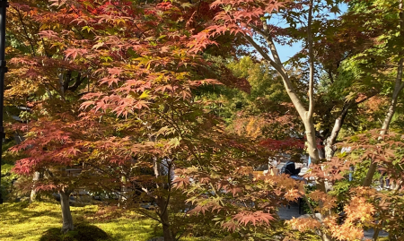 Magazine de luxe spécialisé dans le jardin  à reprendre (OKT) image