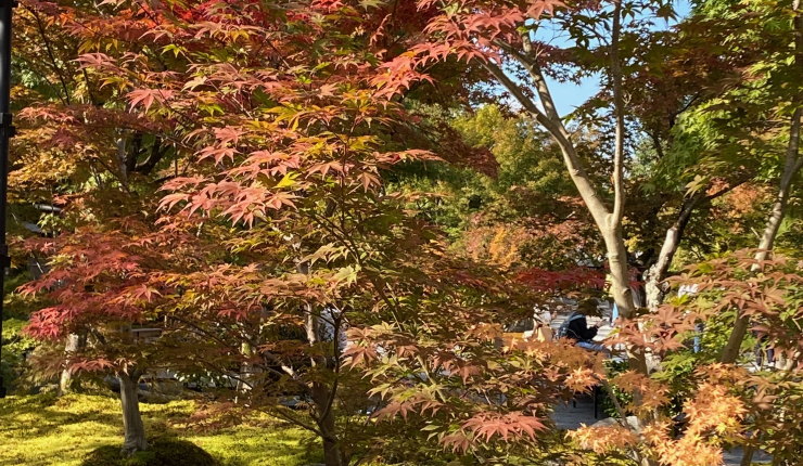 Magazine de luxe spécialisé dans le jardin  à reprendre (OKT)